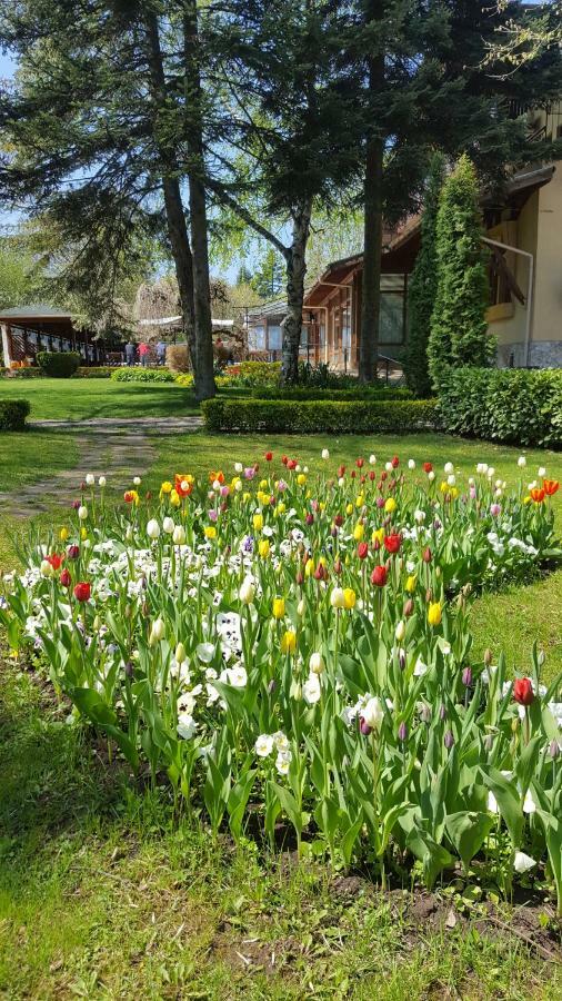 Family Hotel Residence Dobrich Exterior photo